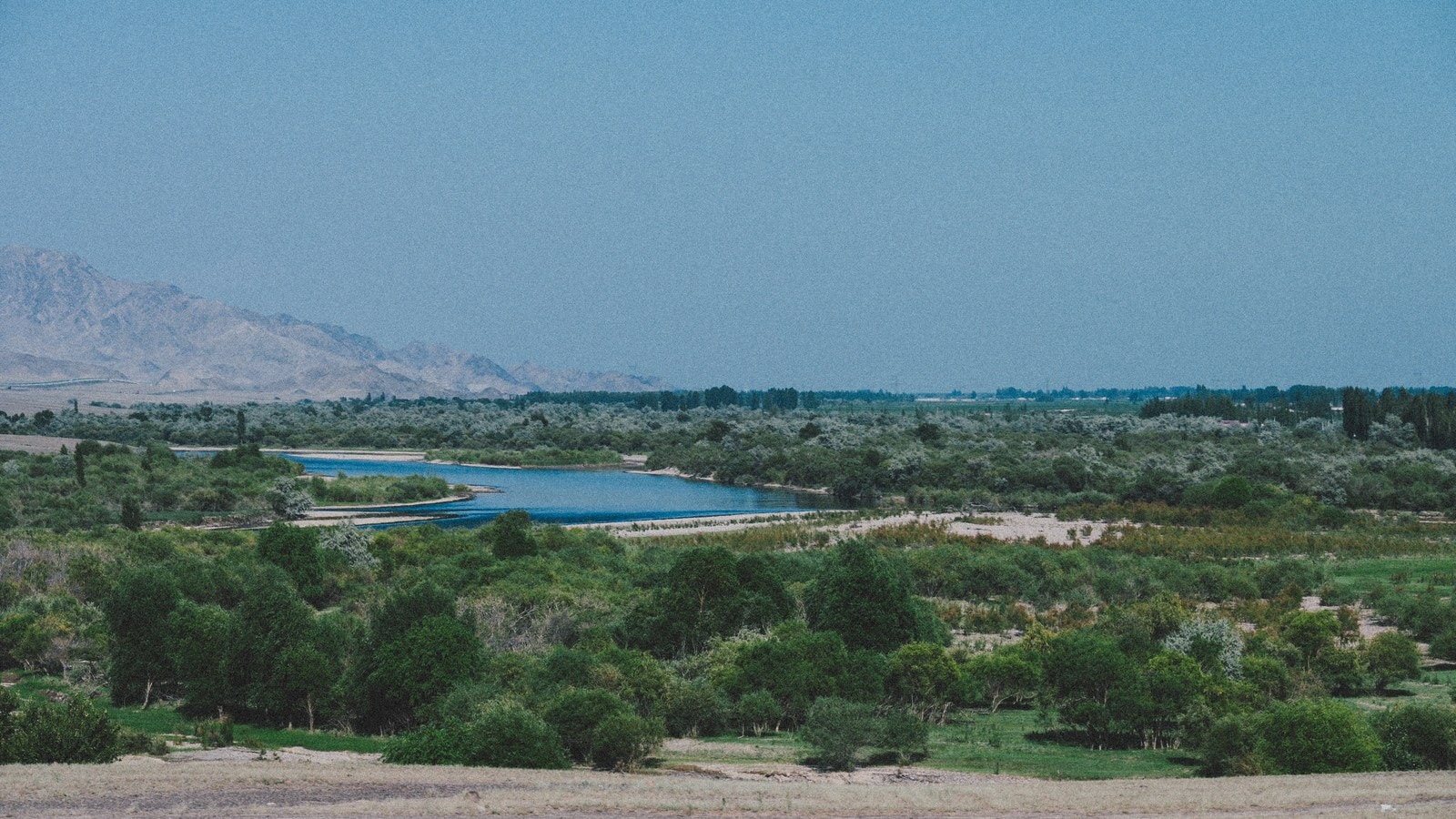 未命名项目-031 05