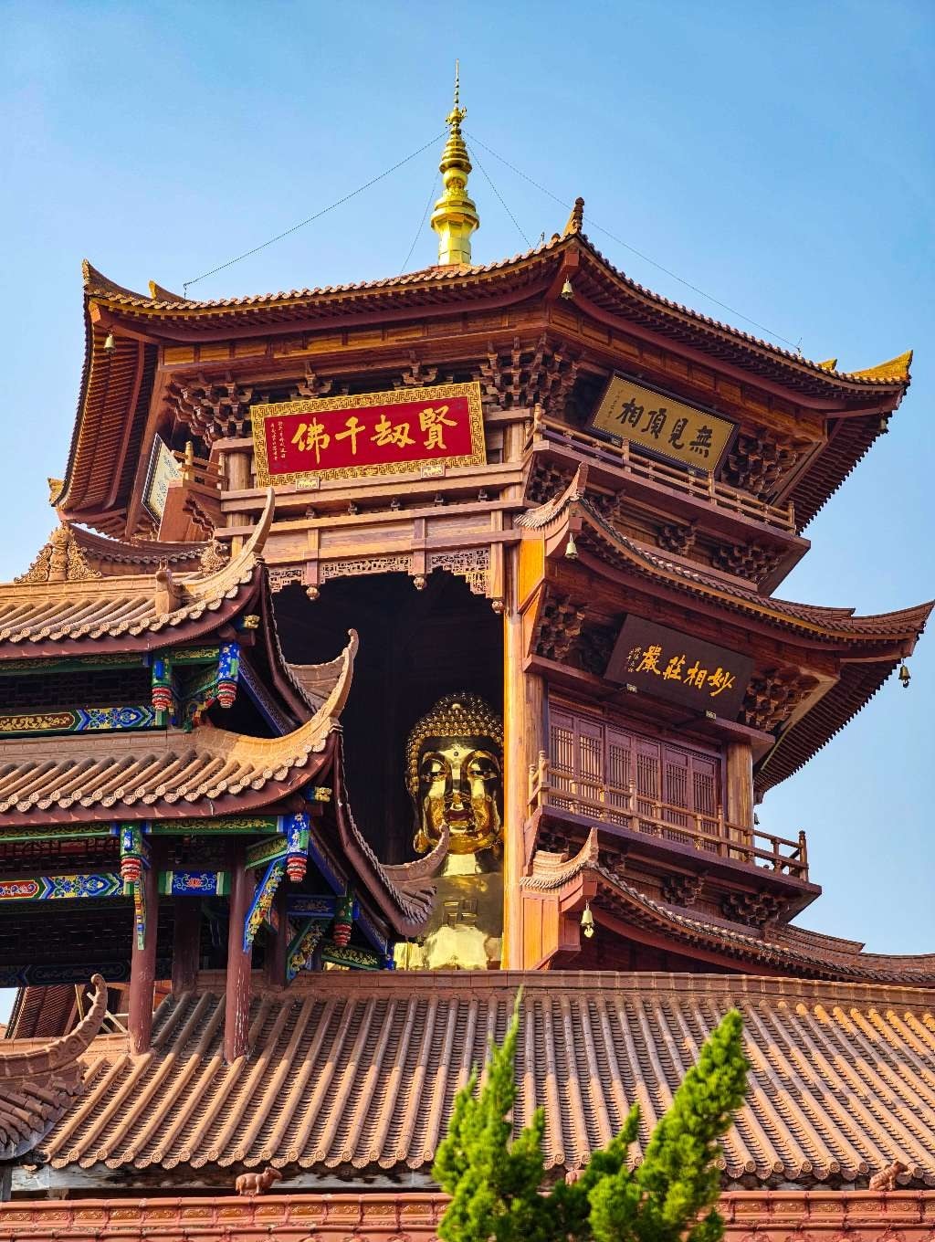 未命名项目-006 10