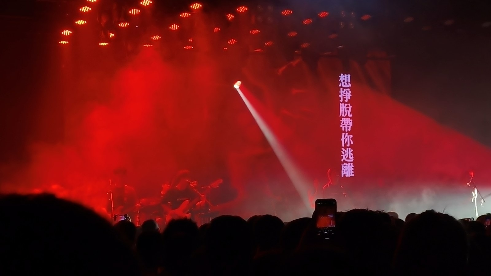 脆莓 137