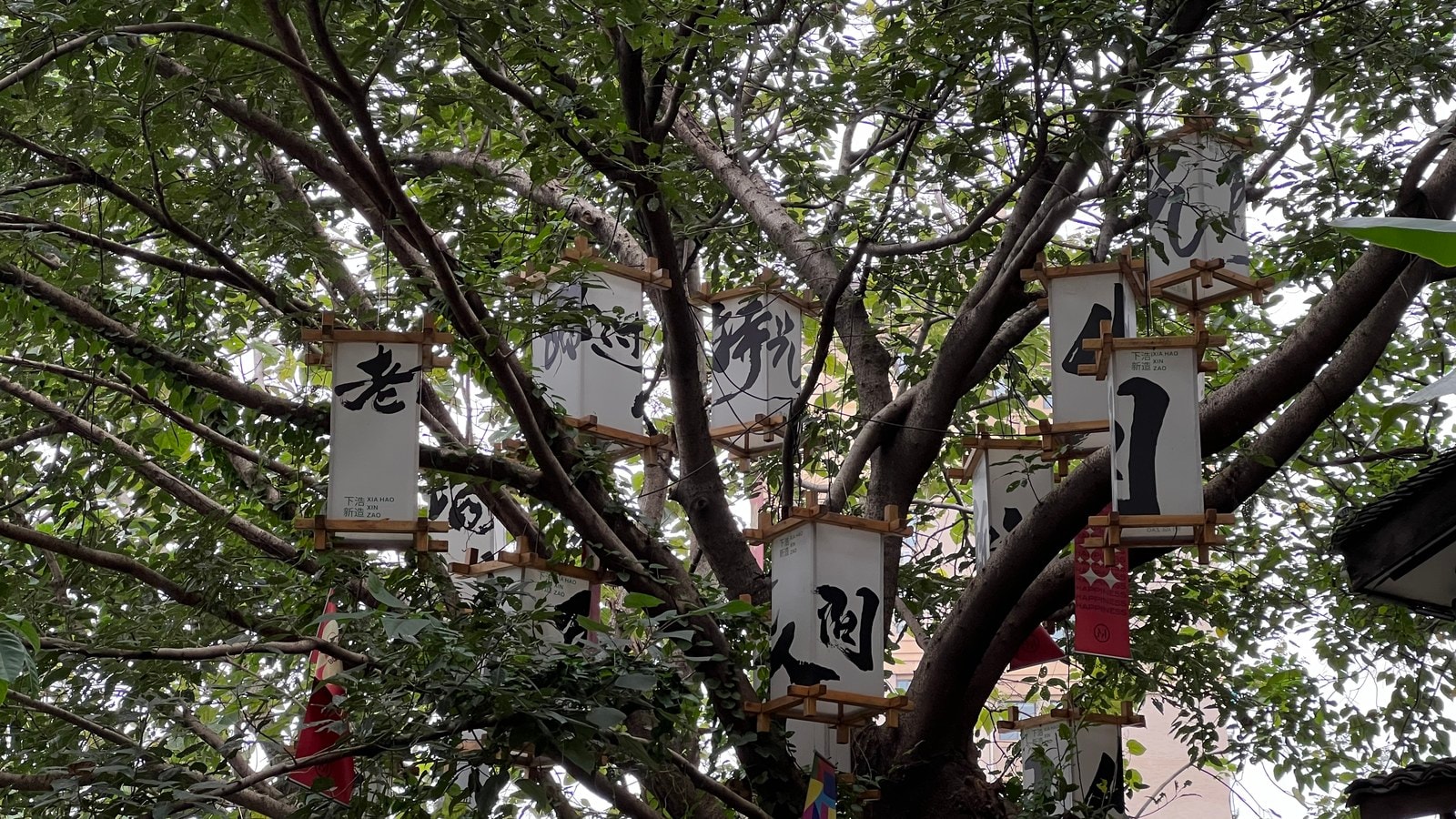 未命名项目-013 10