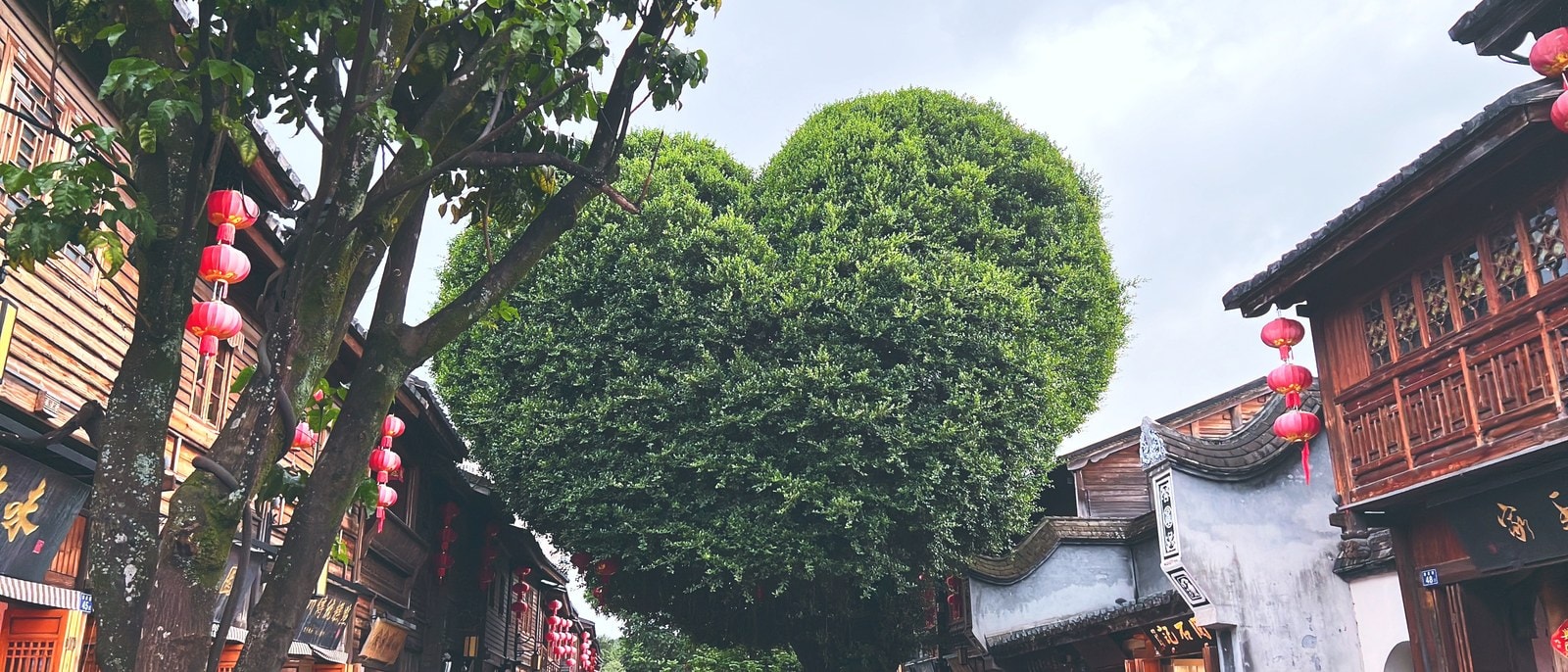未命名项目-023 04